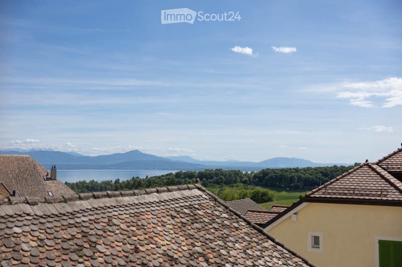 View of the house with mountains and a lake in the background.