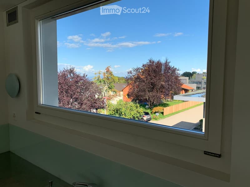 Bathroom with a large window offering a view of a suburban neighborhood, trees, and a driveway with a parked car.