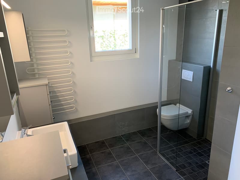 Modern bathroom with a white sink, toilet, glass-enclosed shower, and built-in cabinets.