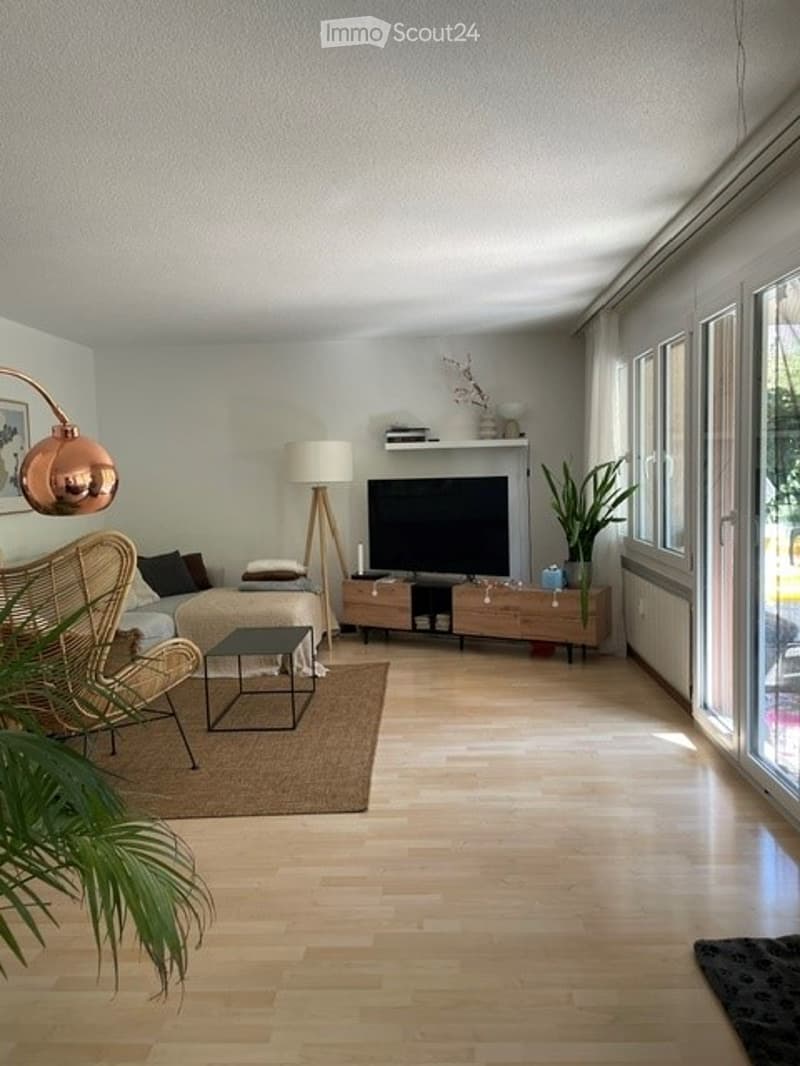 Modern living room with light wooden flooring, a grey sofa, a coffee table, a television on a wooden stand, a floor lamp, a wicker chair, and a potted plant near the window.
