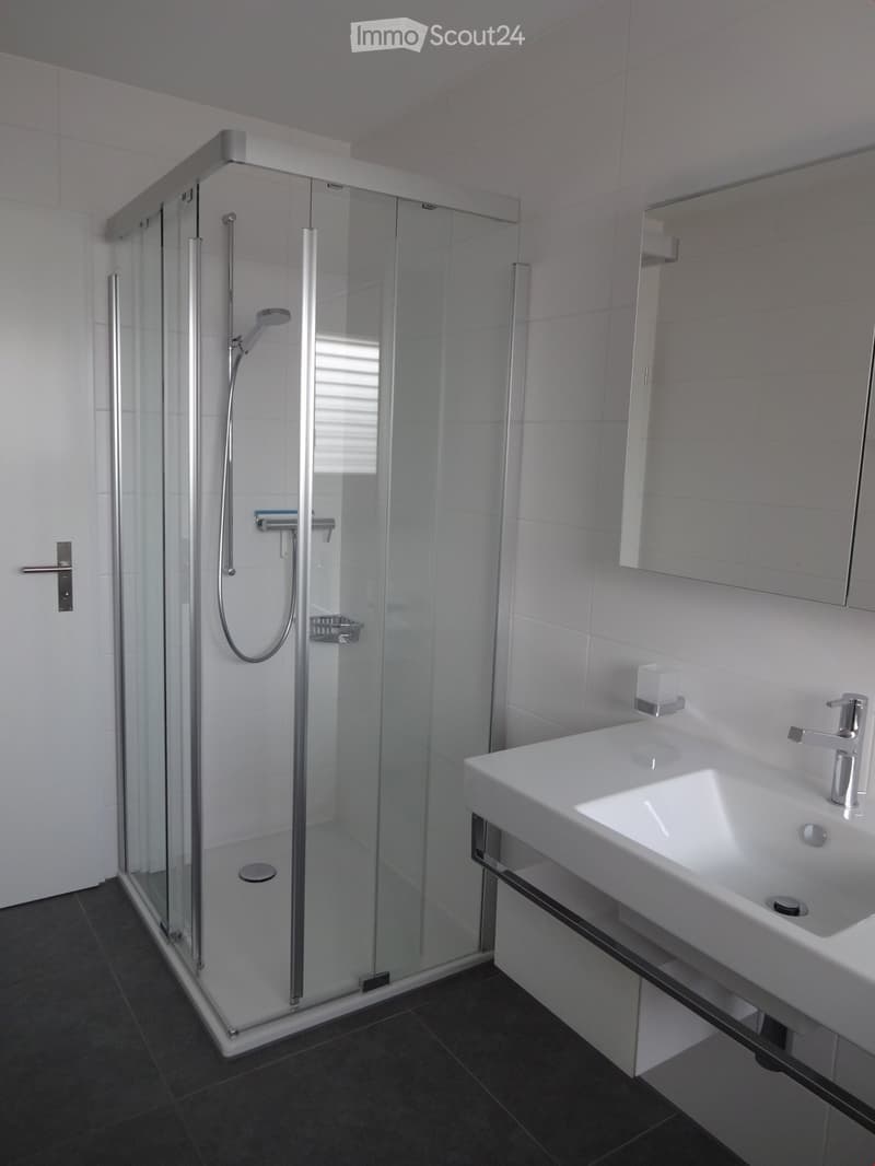 Modern bathroom with a white sink, chrome faucet, mirror, and a glass-enclosed shower with a handheld showerhead.