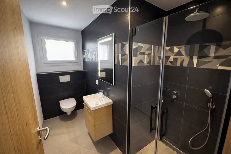 Modern bathroom with dark tiled walls, a white toilet, a wooden sink cabinet, a large mirror, and a glass-enclosed shower with a handheld showerhead.