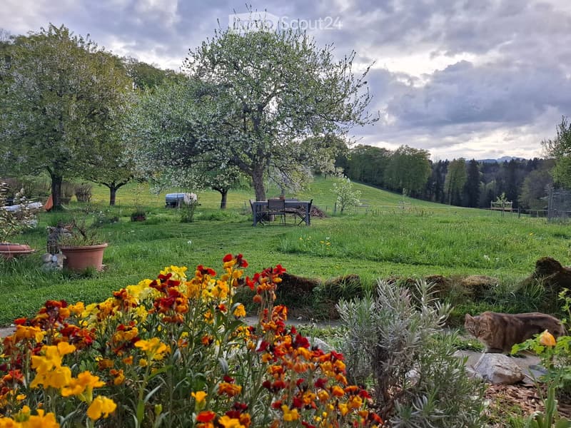 Lush garden with colorful flowers, a cat, a table and chairs, and trees in a hilly landscape.