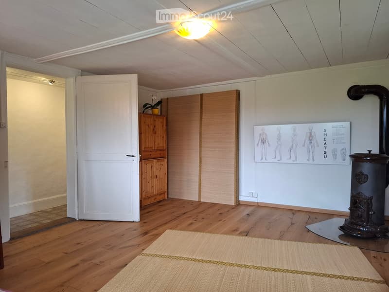 The room has wooden flooring, a wooden cabinet, a wooden door, a wooden stove, a poster on the wall, a plant, and a rug.