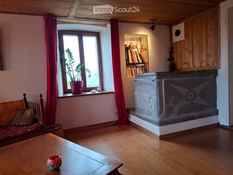 Cozy living room with wooden floor, fireplace, bookshelf, sofa, and a potted plant on the windowsill.