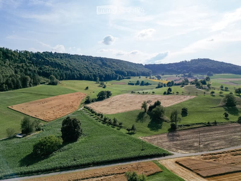 Aerial view of a rural landscape with fields, trees, and a winding road.