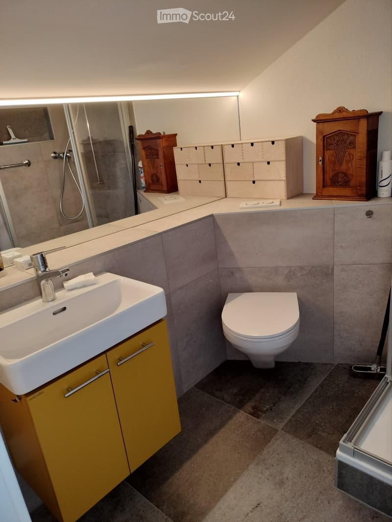 Modern bathroom with a white sink, chrome faucet, toilet, and wooden cabinets. Features a large mirror with built-in storage and a wooden decorative box on the counter.