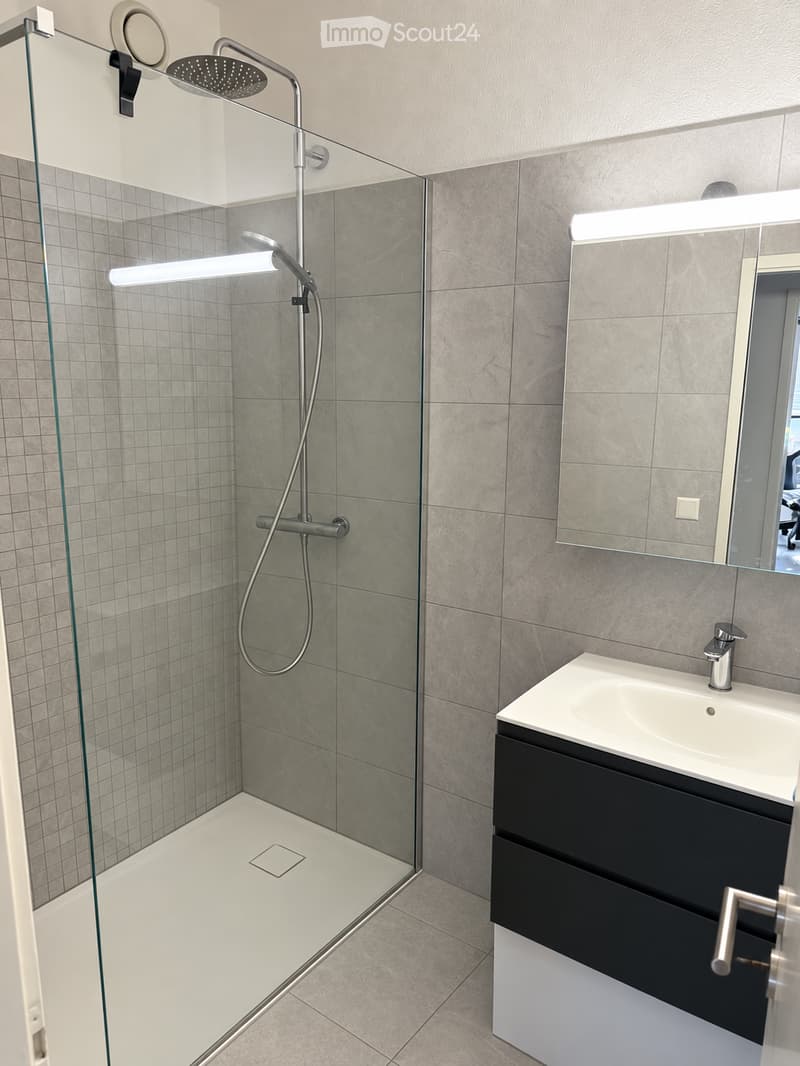 Modern bathroom with a glass-enclosed shower, a white sink with a black cabinet, and a large mirror above the sink.