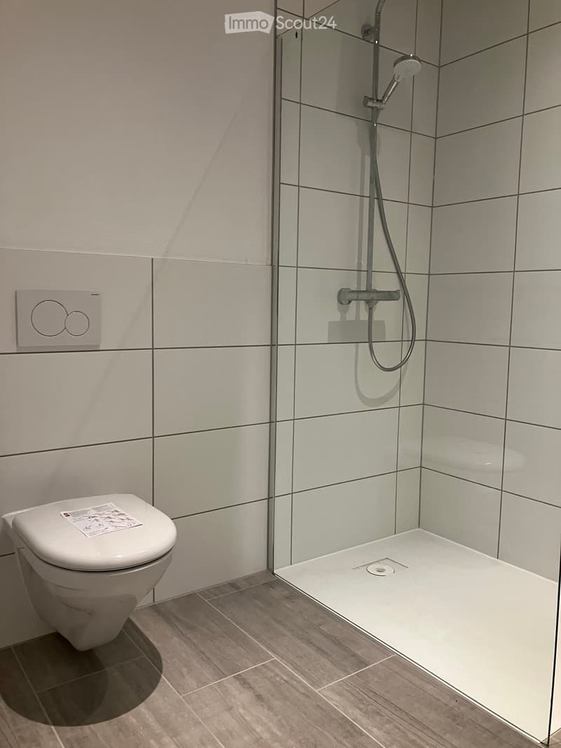 Modern bathroom with a white toilet, glass-enclosed shower, and grey tiled walls.