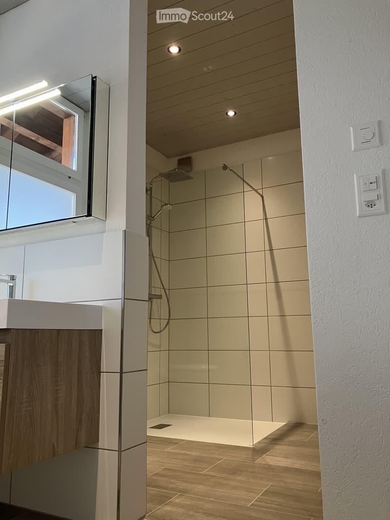 Modern bathroom with a sleek sink, large mirror, and a walk-in shower with glass enclosure.