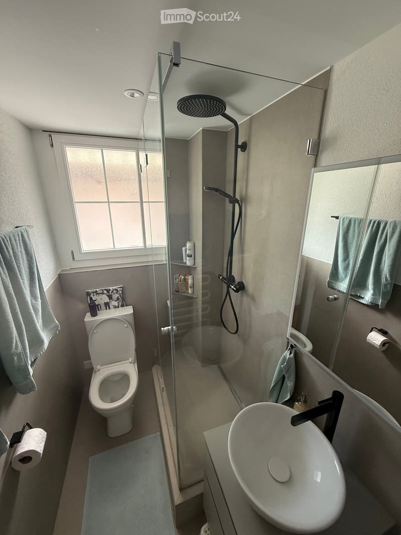 Modern bathroom with a toilet, sink, and glass-enclosed shower. Features include a large mirror, towels, and a window for natural light.