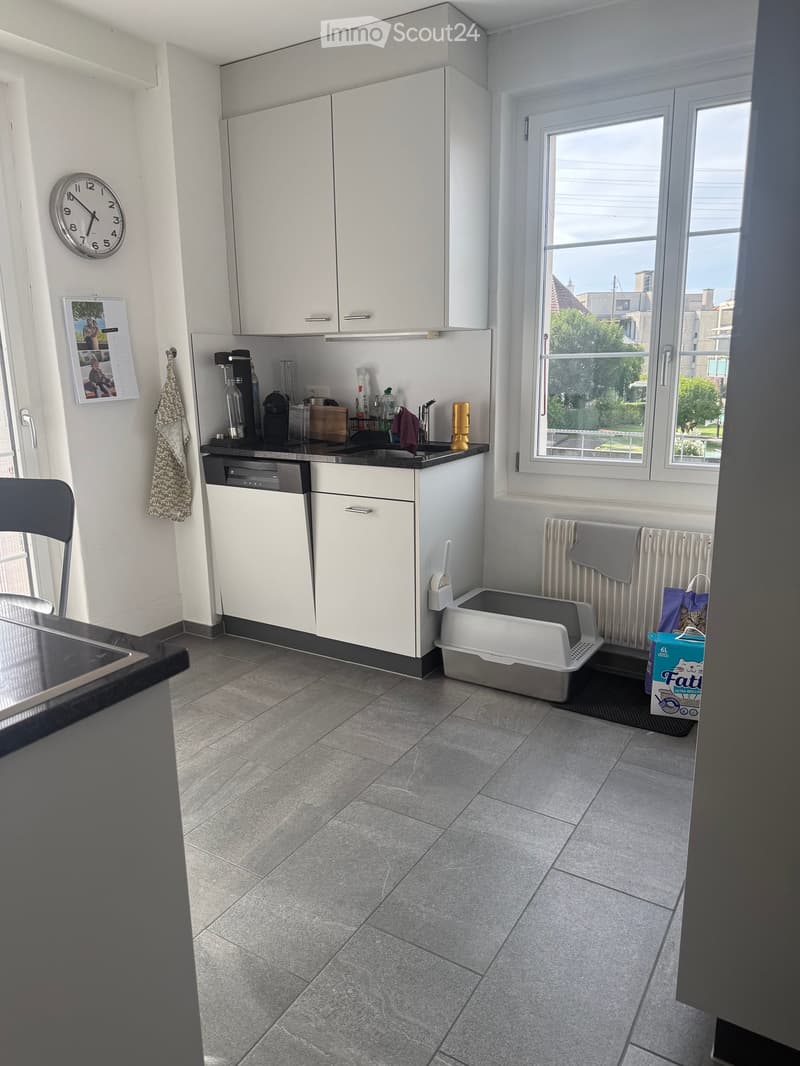 Modern kitchen with white cabinets, black countertop, sink, dishwasher, and various appliances. Features a tiled floor, a window with a view, and a cat litter box in the corner.