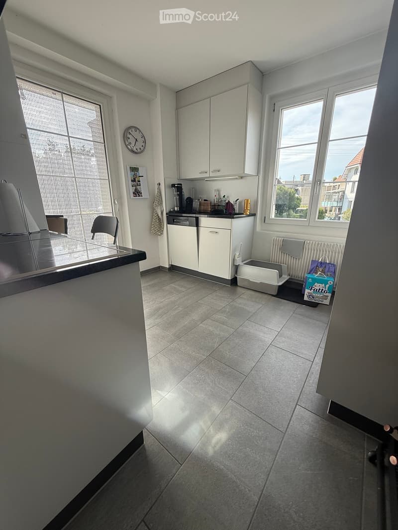 Modern kitchen with white cabinets, tiled floor, and large windows. Includes a refrigerator, chair, dishwasher, cat litter box, coffee maker, clock, and radiator.