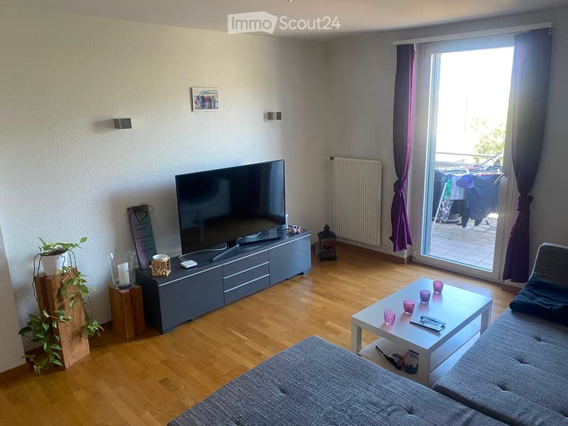 Modern living room with wooden flooring, a grey sofa, a white coffee table, a flat-screen TV on a grey stand, and a small plant in a pot.