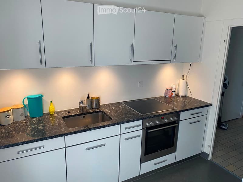 Modern kitchen with white cabinets, granite countertop, stainless steel sink, induction stove, and various kitchen items on the counter.