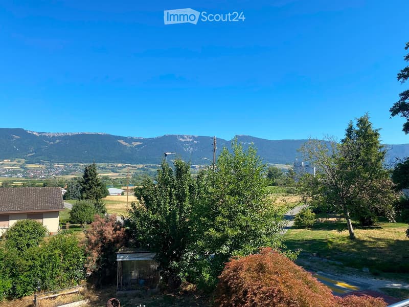 A peaceful garden area with trees, shrubs, and a view of a mountainous landscape in the background.