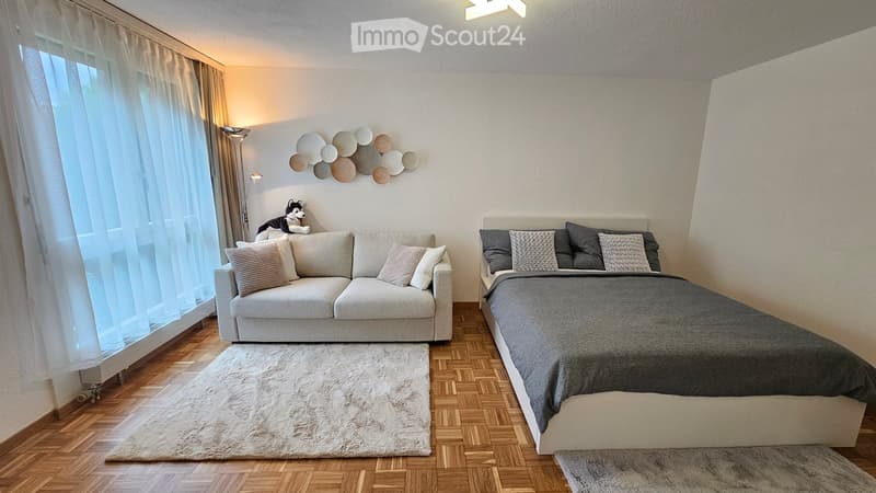 Room with white couch, pillows, bed, gray duvet, white rug, floor lamp, and art pieces on the wall