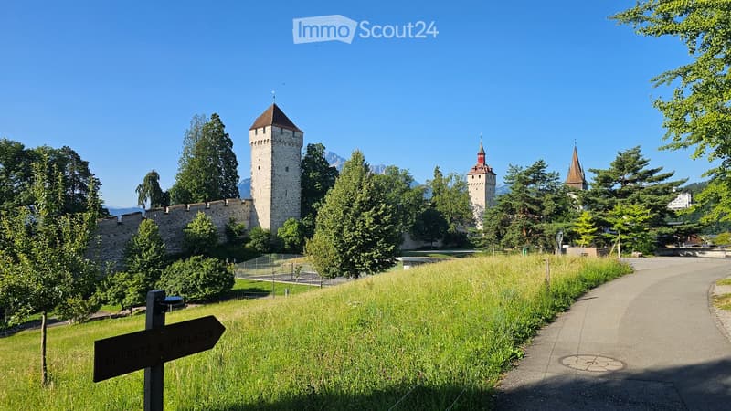 Medieval castle, two tall towers, stone walls, surrounded by trees, large grassy field, path leading to castle