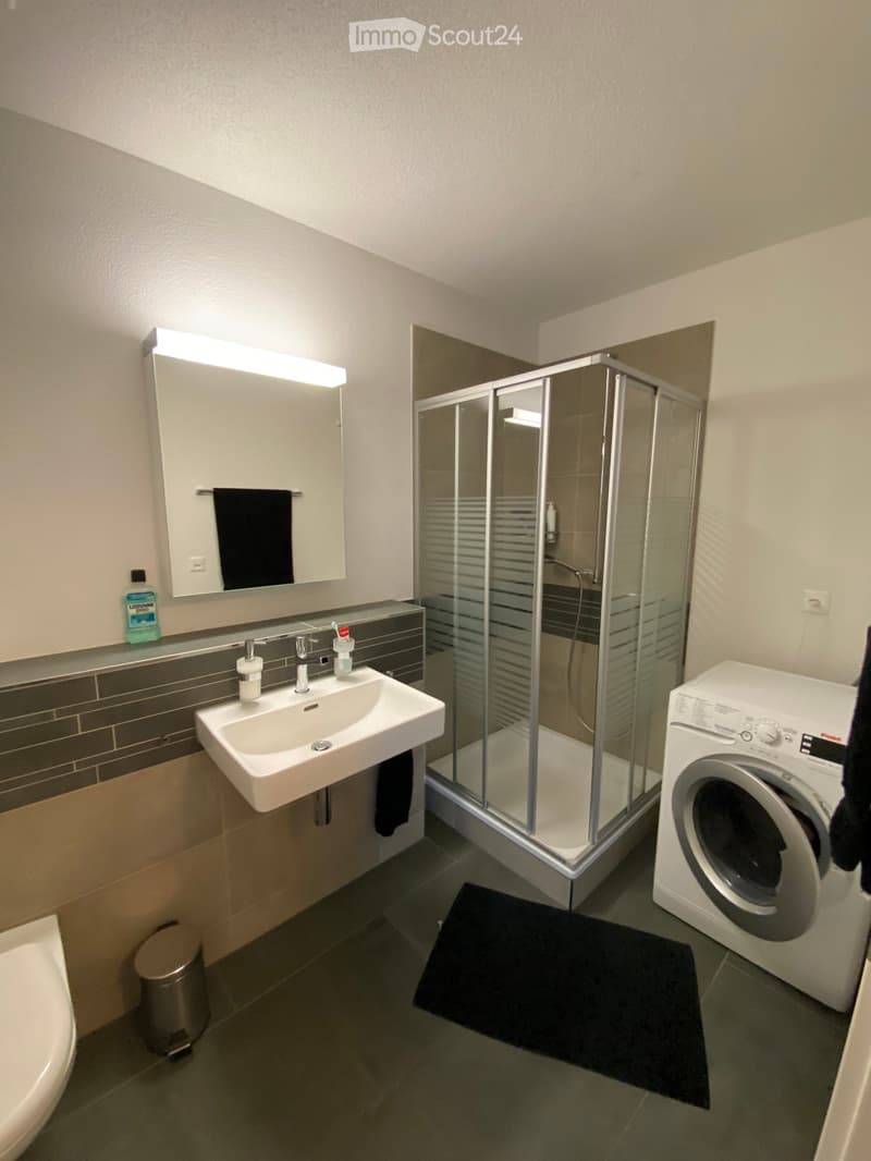 Modern bathroom with a white sink, mirror, shower, washing machine, and toilet. Features a dark towel, soap dispenser, and a bottle on the sink counter.