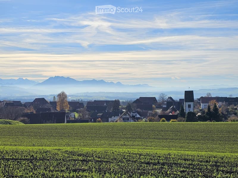 A picturesque village with traditional houses, surrounded by green fields and mountains under a clear blue sky.
