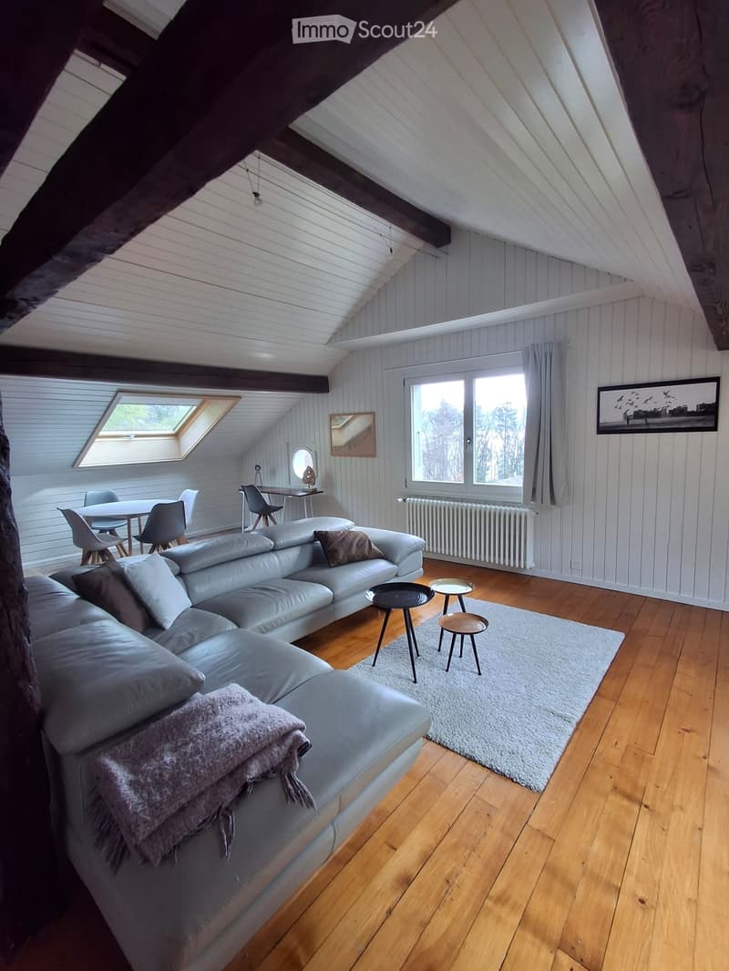 Modern living room with wooden floors, white shiplap walls, skylight, large window, grey sectional sofa, coffee table, small stools, dining area with table and chairs, and a mirror on the wall.