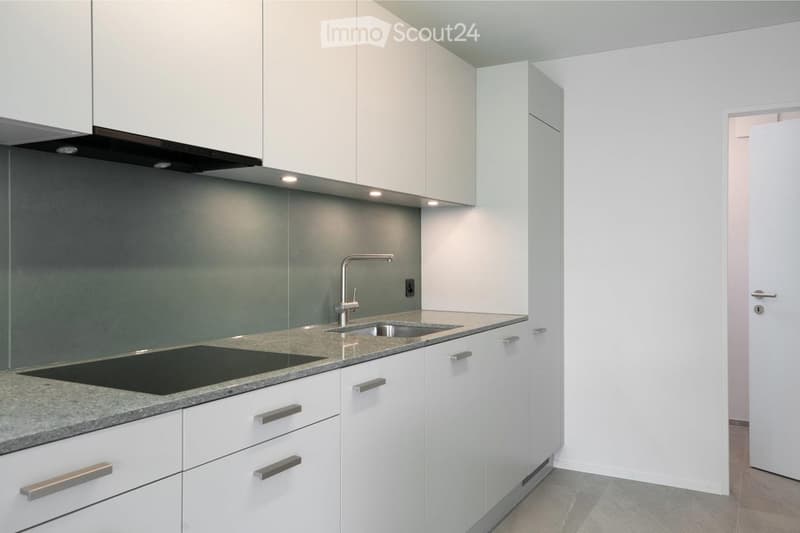 Modern kitchen with white cabinets, granite countertop, induction cooktop, and stainless steel sink.