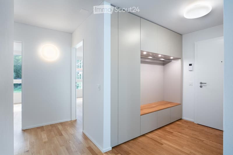Modern, minimalist hallway with white walls, wooden flooring, built-in storage units, and recessed lighting.
