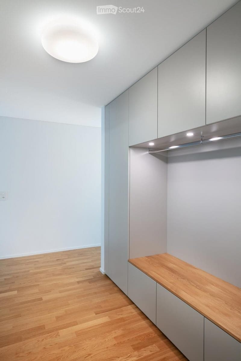 Modern hallway with light grey walls, wooden flooring, built-in storage units, and a round ceiling light fixture.