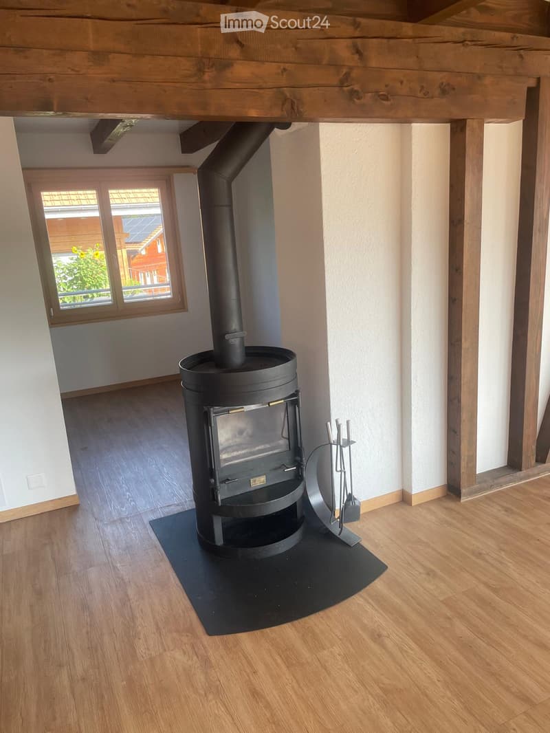 Modern room with wooden flooring, a black wood-burning stove, and fireplace tools nearby.