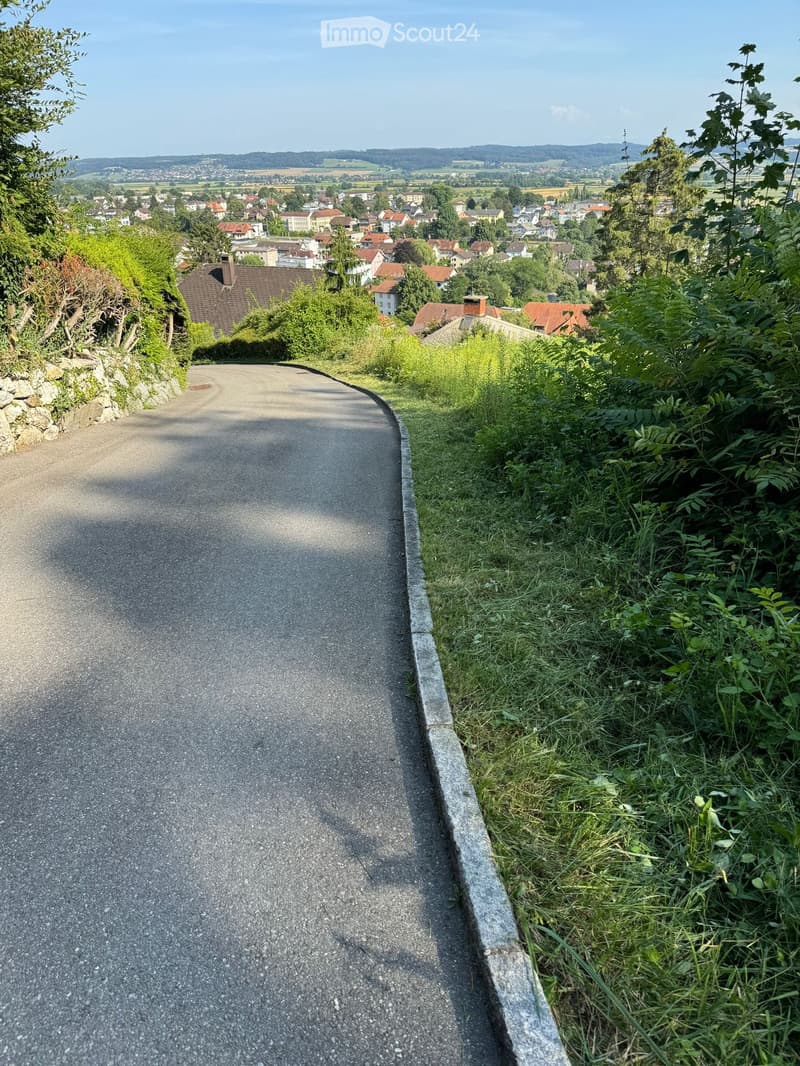 A winding road with a stone curb, surrounded by lush greenery and a town in the background.