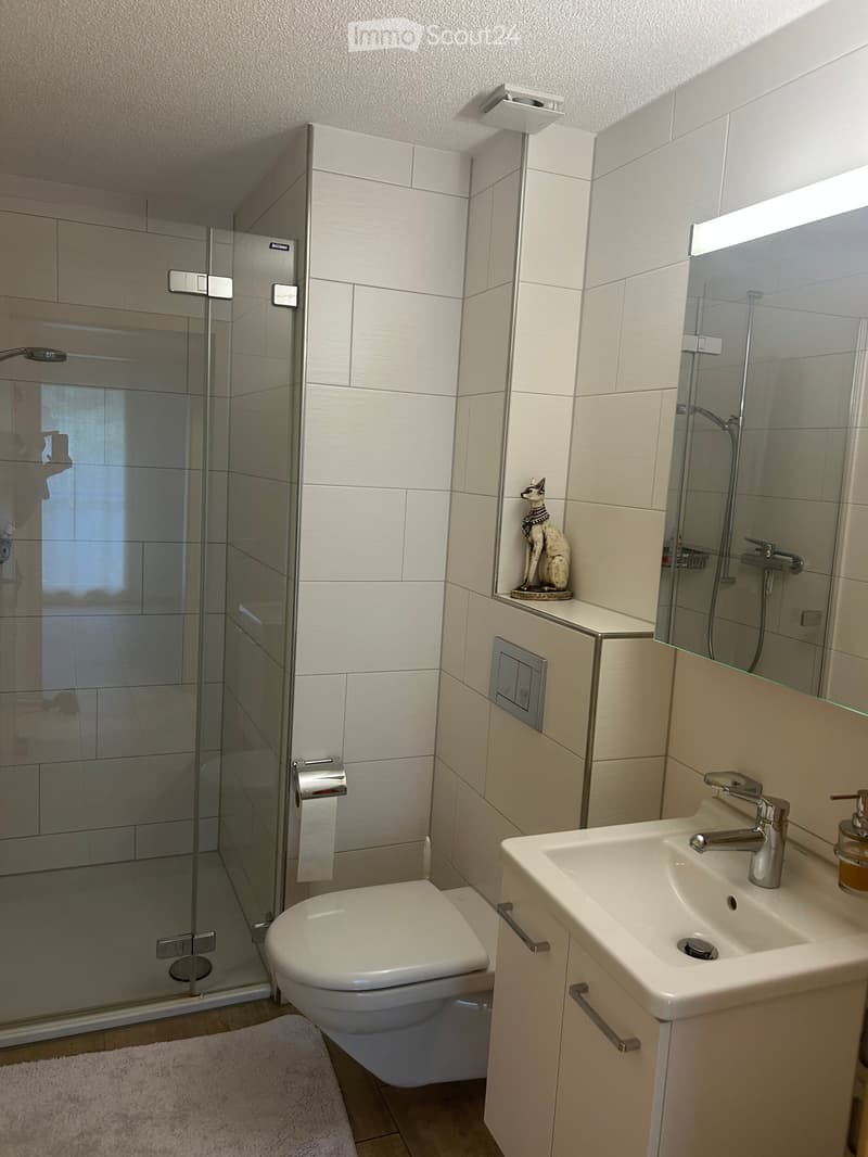 Modern bathroom with white tiles, a glass-enclosed shower, a toilet, a sink with a modern faucet, a mirror, and a decorative statue on the windowsill.