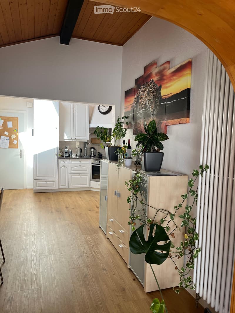 Bright kitchen with white cabinets, wooden floor, and modern appliances. Features potted plants, a large painting, and a clock on the wall.