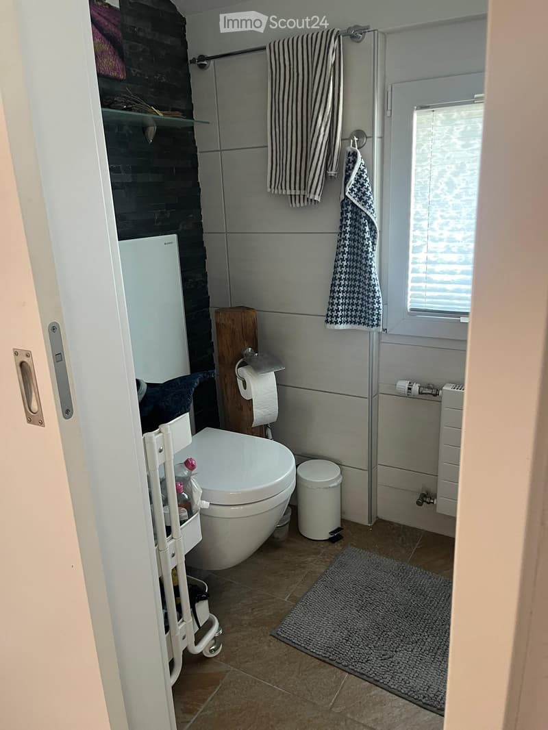 Modern bathroom with a toilet, shower, towels, toilet paper holder, bathroom cabinet, shelf, rug, and trash bin.