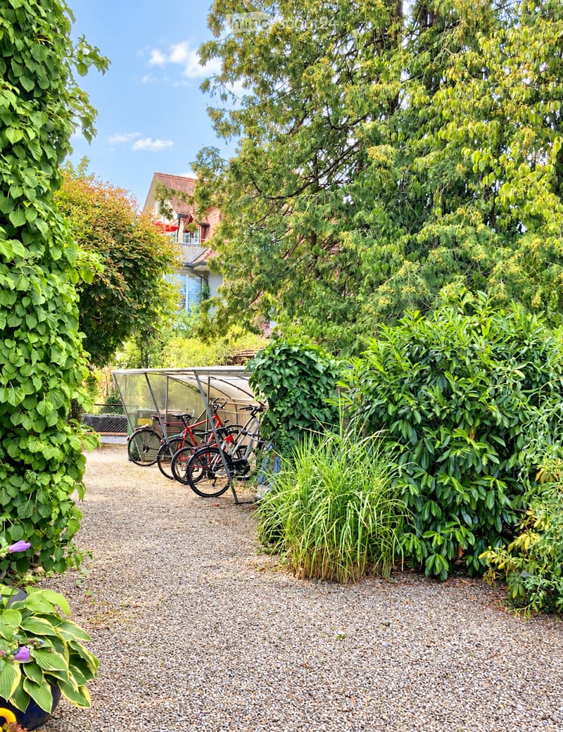 Garden area with gravel pathway, bicycles under a shelter, lush greenery, and a house visible in the background.