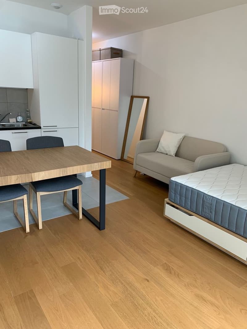 A modern, open-concept living and dining area with a sofa, dining table, chairs, and a small kitchen area with cabinets and a sink.