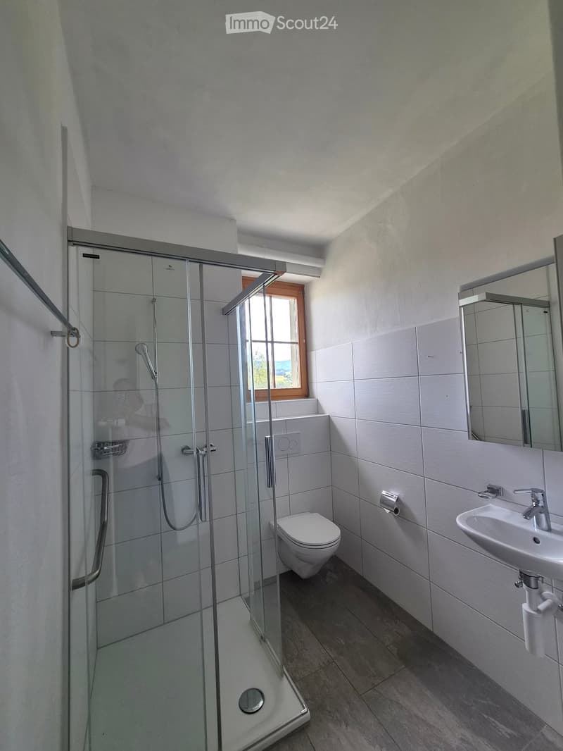Modern bathroom with a glass-enclosed shower, toilet, sink, and mirror. The shower has a handheld sprayer and a fixed bar for support. The sink has a modern faucet, and the walls are tiled in light gray.