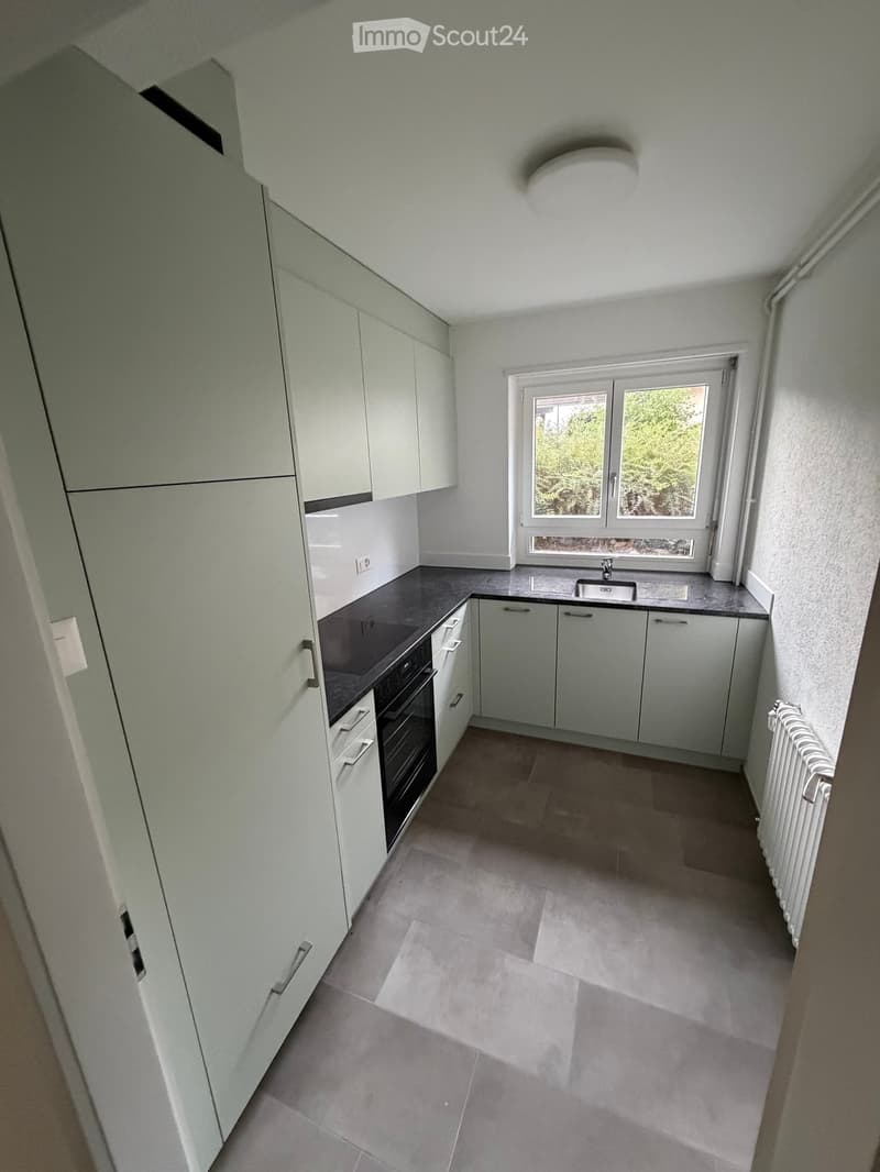 Modern kitchen with white cabinets, black countertop, and a window overlooking greenery. Features a sink, oven, and built-in storage.