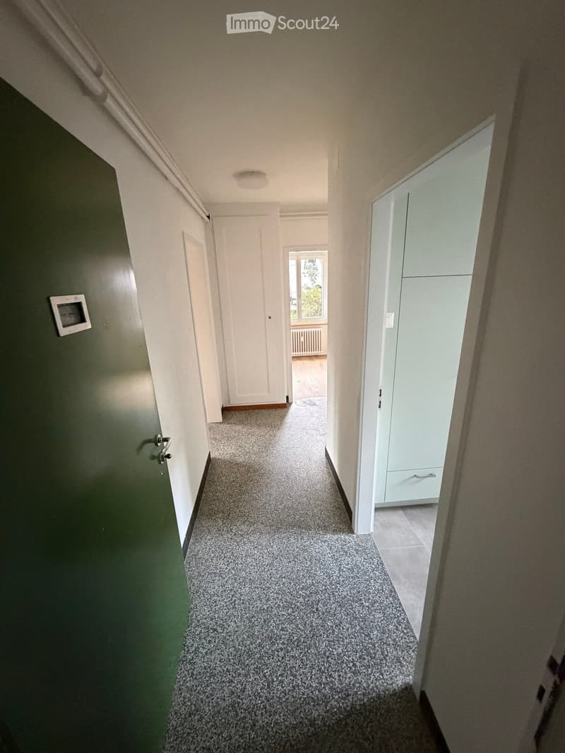 Empty hallway with carpeted floor, white walls, and several doors leading to other rooms.