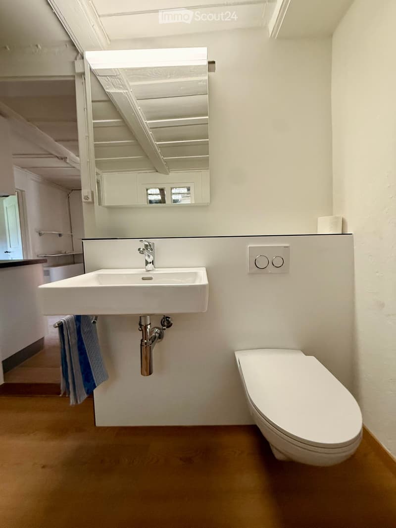 Modern bathroom with a white sink, chrome faucet, toilet, large mirror, and a blue towel hanging on a rack.