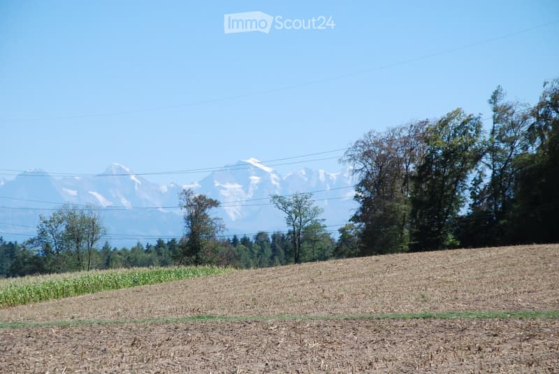 A cultivated field with sparse vegetation and trees, with a backdrop of snow-capped mountains under a clear blue sky.
