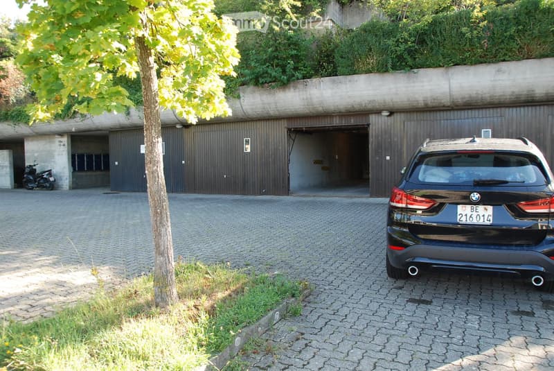 A multi-level underground parking area with several closed garage doors, a tree, and a parked BMW car in front.