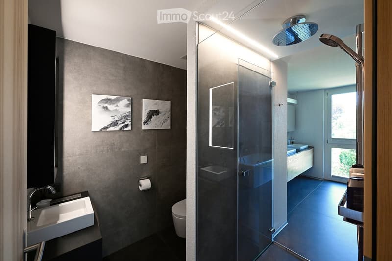 large mirror, ceiling light, modern fixtures, white tiles, dark flooring, open shower, wall mounted pictures