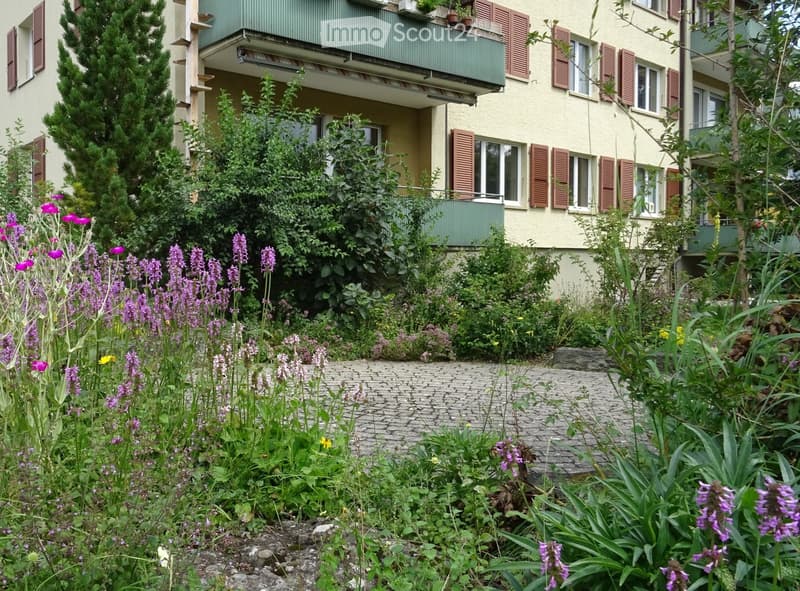 diverse flower bed, shrubs, stone path