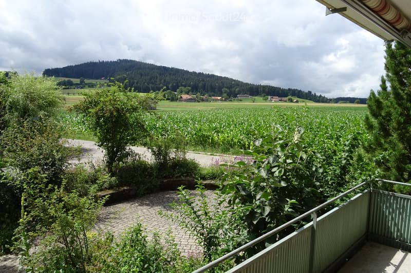 Balcony with metal railings, plants, flowers, cobblestone floor, field, mountain, houses