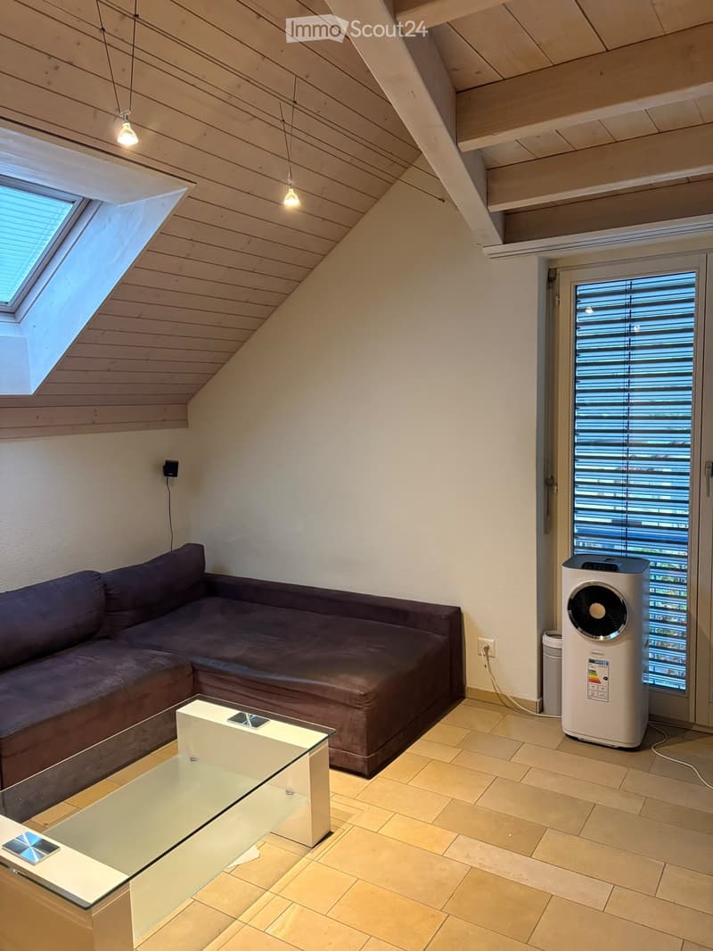 Modern living room with a dark brown sectional sofa, a white glass coffee table, and a white fan near the window. The room features wooden slatted ceilings and warm lighting.