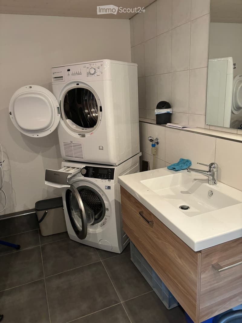 Bathroom with a washing machine, sink, mirror, and wooden cabinet.