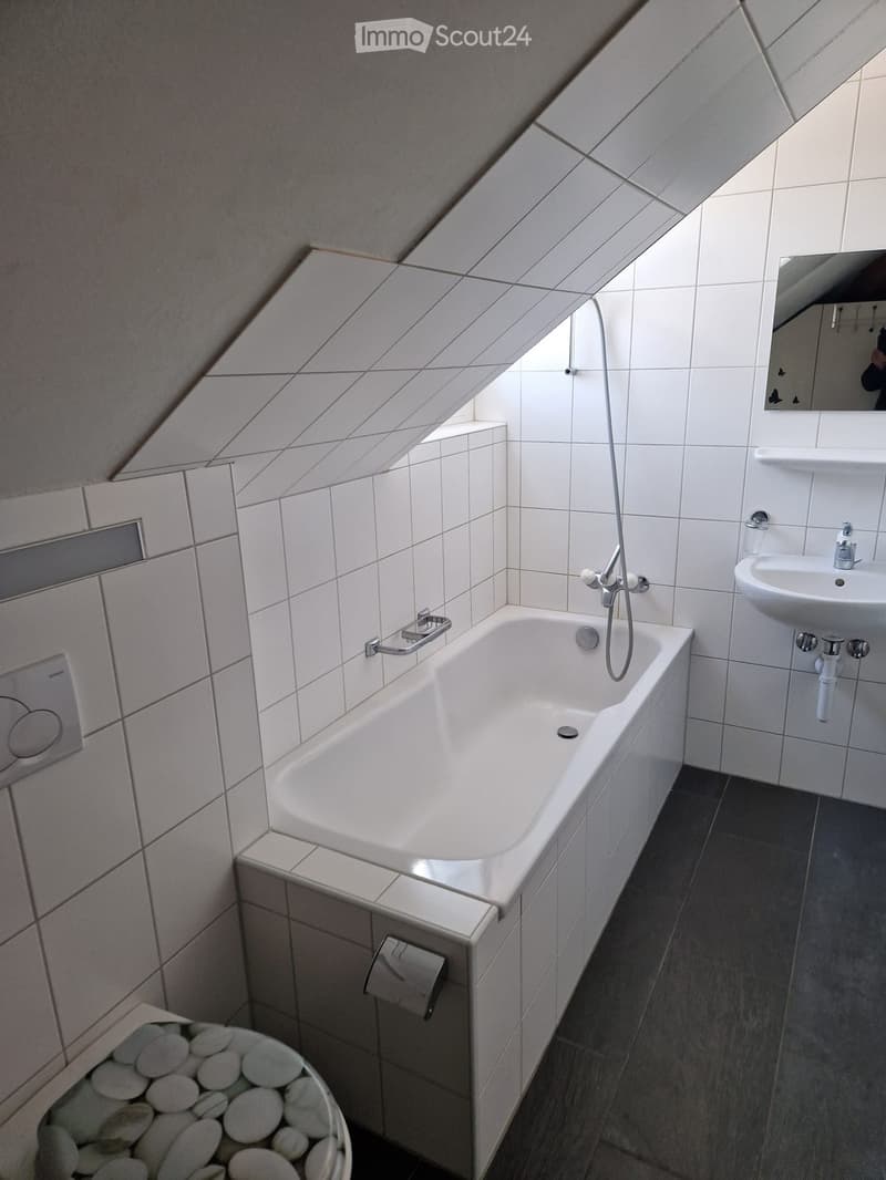 Bathroom: white tiles, bathtub, shower, sink, mirror, white toilet with cover, toilet paper holder