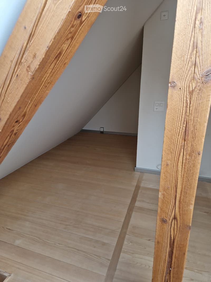 a sloped ceiling, wooden walls, wooden flooring, and switches on the wall