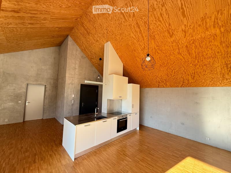 Modern kitchen with white cabinets, stainless steel sink, and wooden flooring. Features pendant lights and a sleek design.
