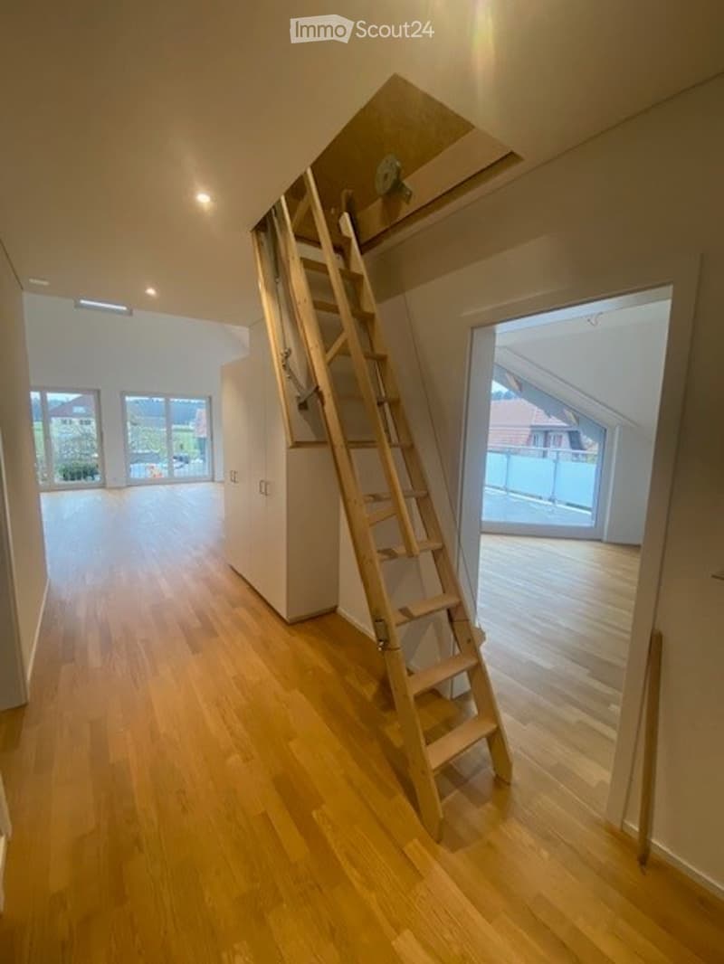 Bright, open hallway with wooden flooring, recessed lighting, and a built-in wooden ladder leading to an attic or loft space. Large windows and doors provide natural light and access to an outdoor area.